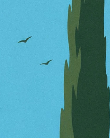 A slender dark green cypress and 2 birds silhouetted against the blue sky