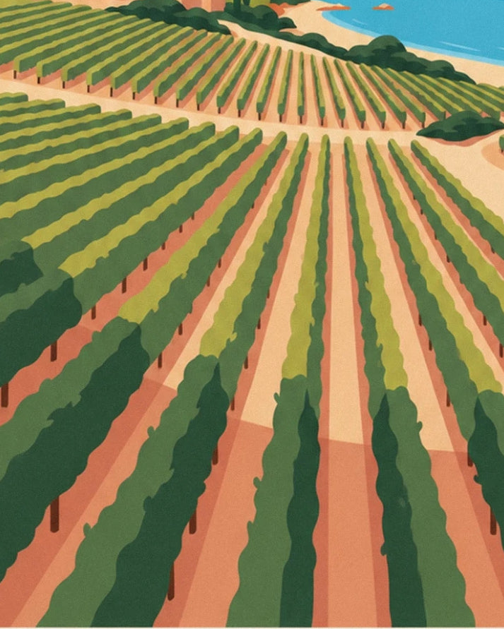 Rows of green vines on ochre soil, facing the blue bay of Bandol
