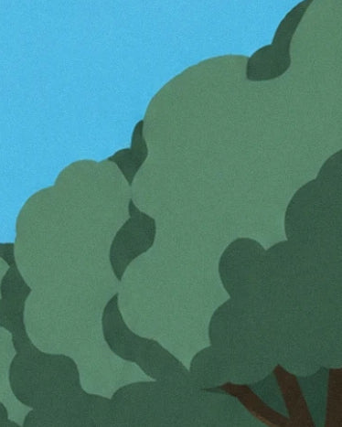 The green foliage with deep shadows and brown branches against a blue sky
