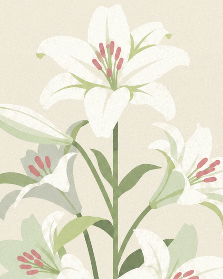 The white lilies with bright pink stamens, on their long green stems