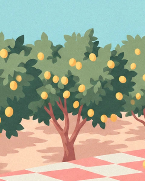 Un citronnier chargé de fruits jaunes, avec son ombre portée sur la terre rose