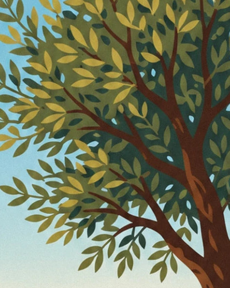The brown branches of an olive tree and its green and golden foliage against a light blue background
