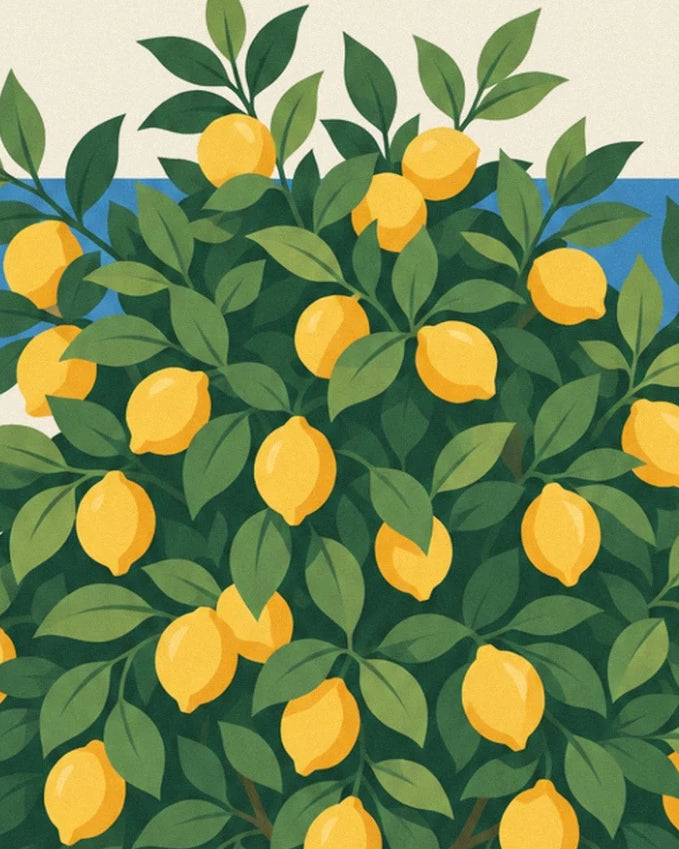 Yellow lemons among dense foliage in front of a strip of blue sky