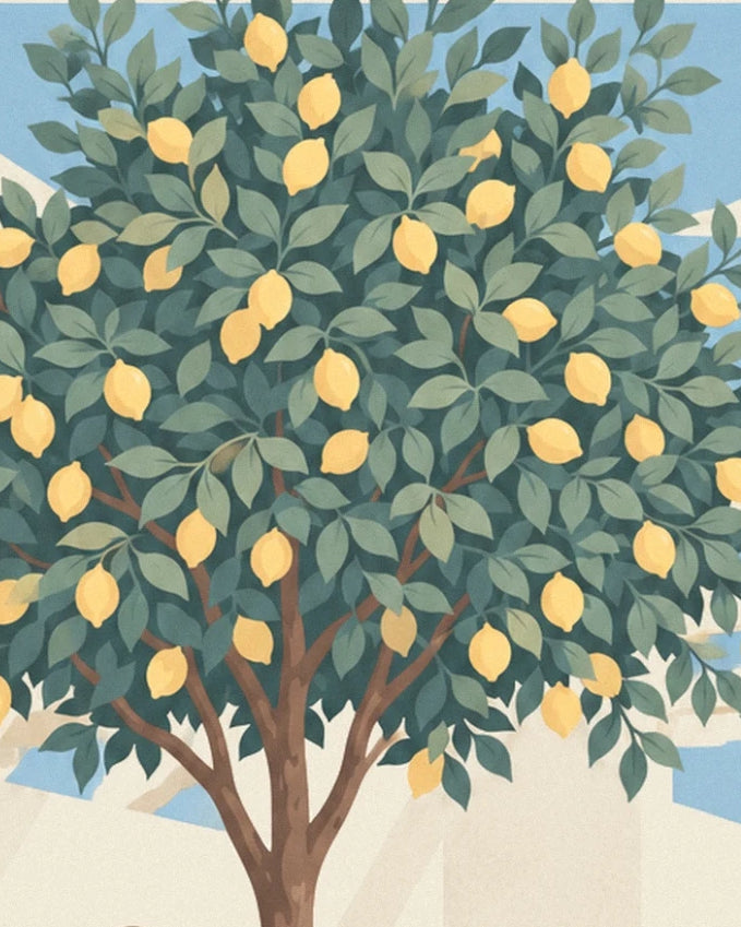 Le citronnier chargé de fruits jaunes, son feuillage vert sombre et son tronc brun