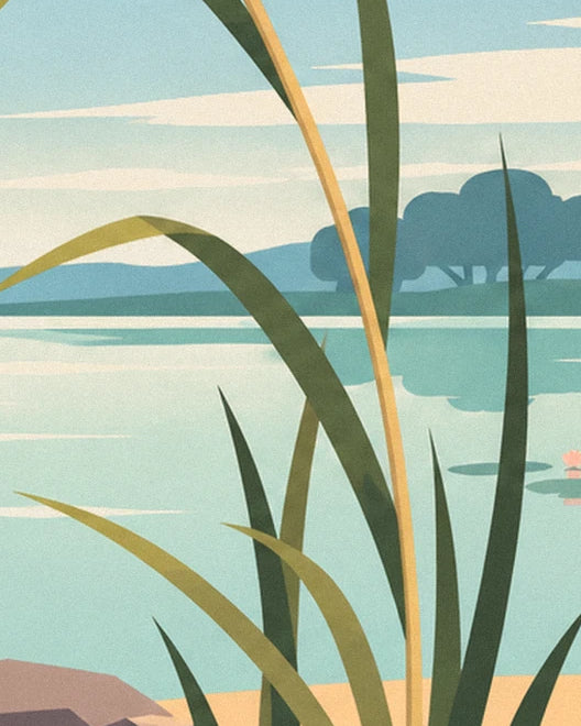 The long olive-green and golden leaves of the bulrushes beside the pond
