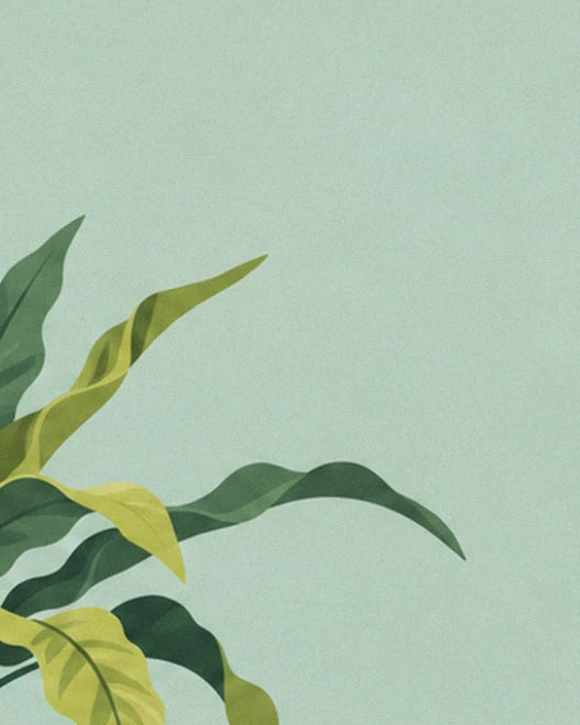 The fern's large dark green and lime green leaves, against a pale aqua background