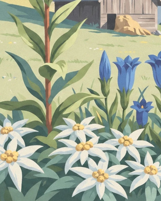 Les edelweiss blancs aux cœurs dorés et les gentianes bleues devant le chalet