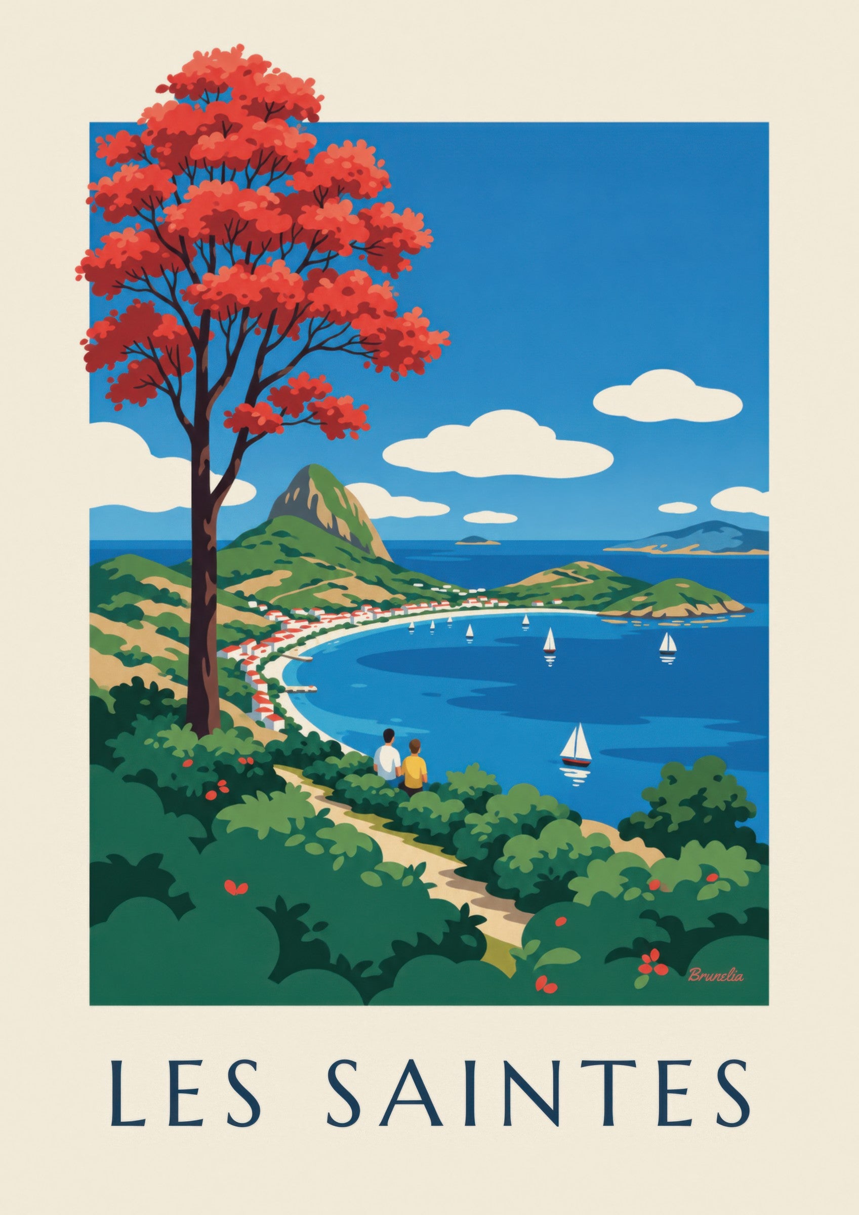 Affiche Guadeloupe, baie des Saintes à Terre-de-Haut: detailní záběr