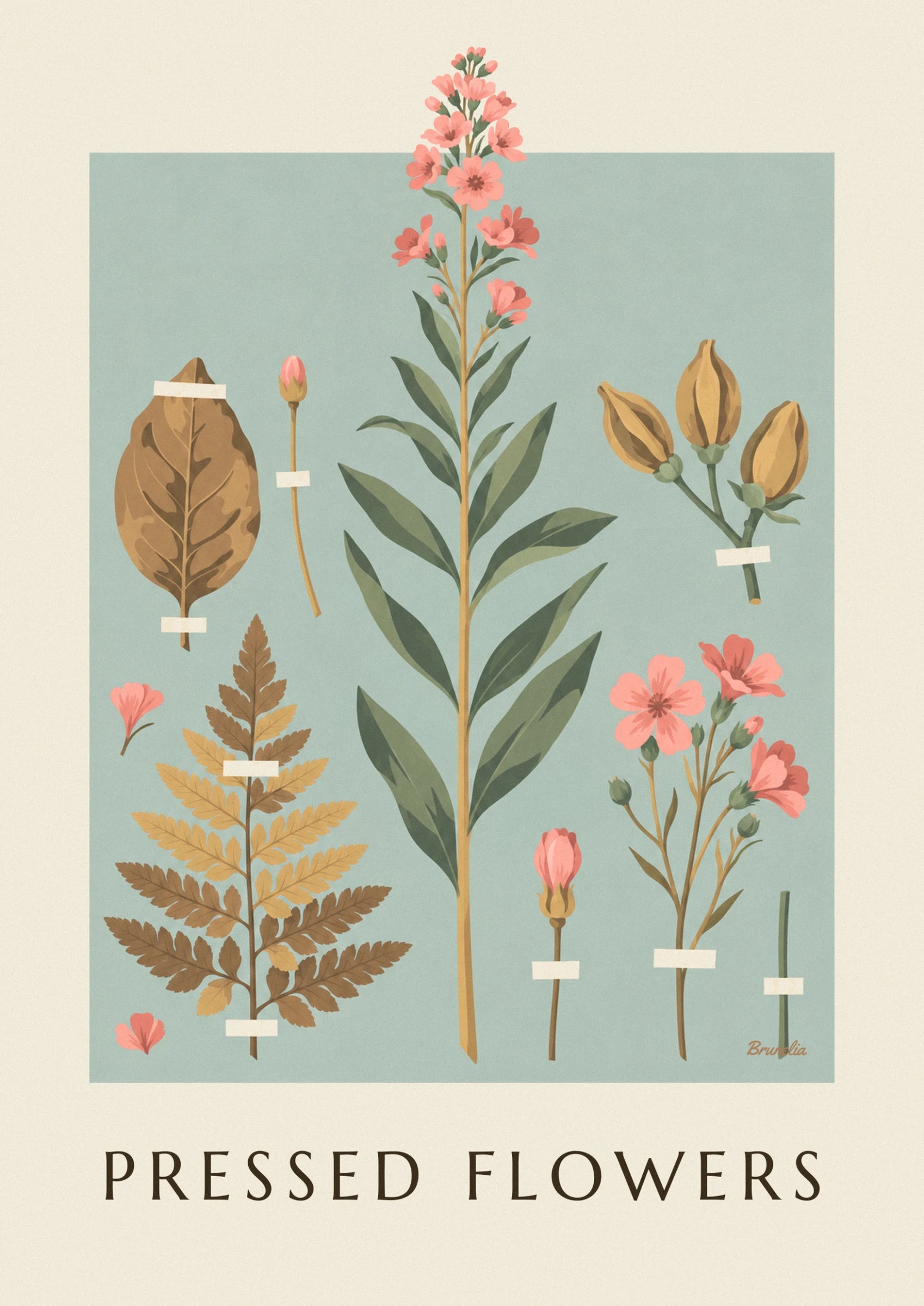 A long stem of pink flowers with burgundy centres, against a pale aqua and cream background