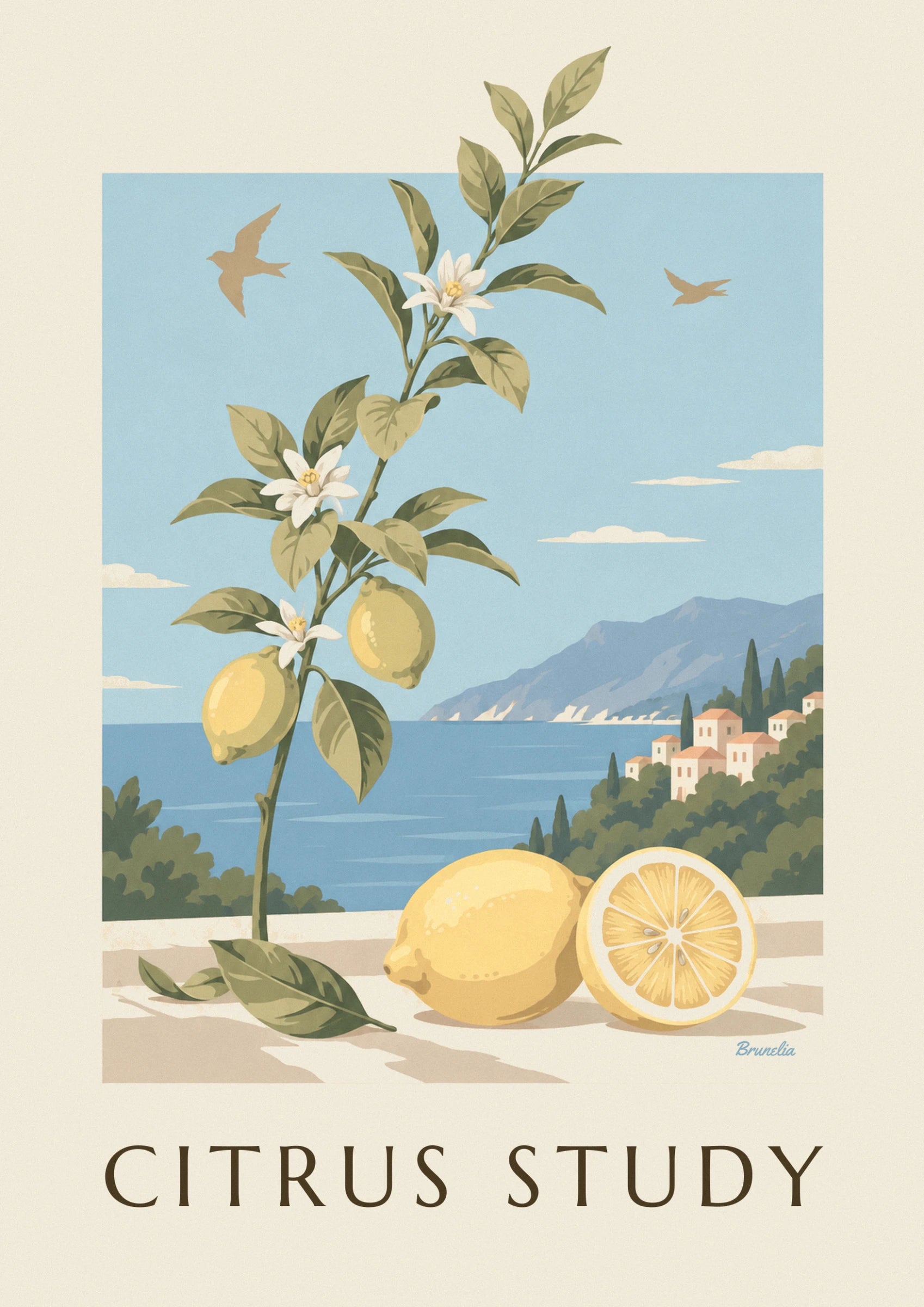 Branche de citronnier avec 2 citrons jaunes et ses fleurs blanches, face à la mer