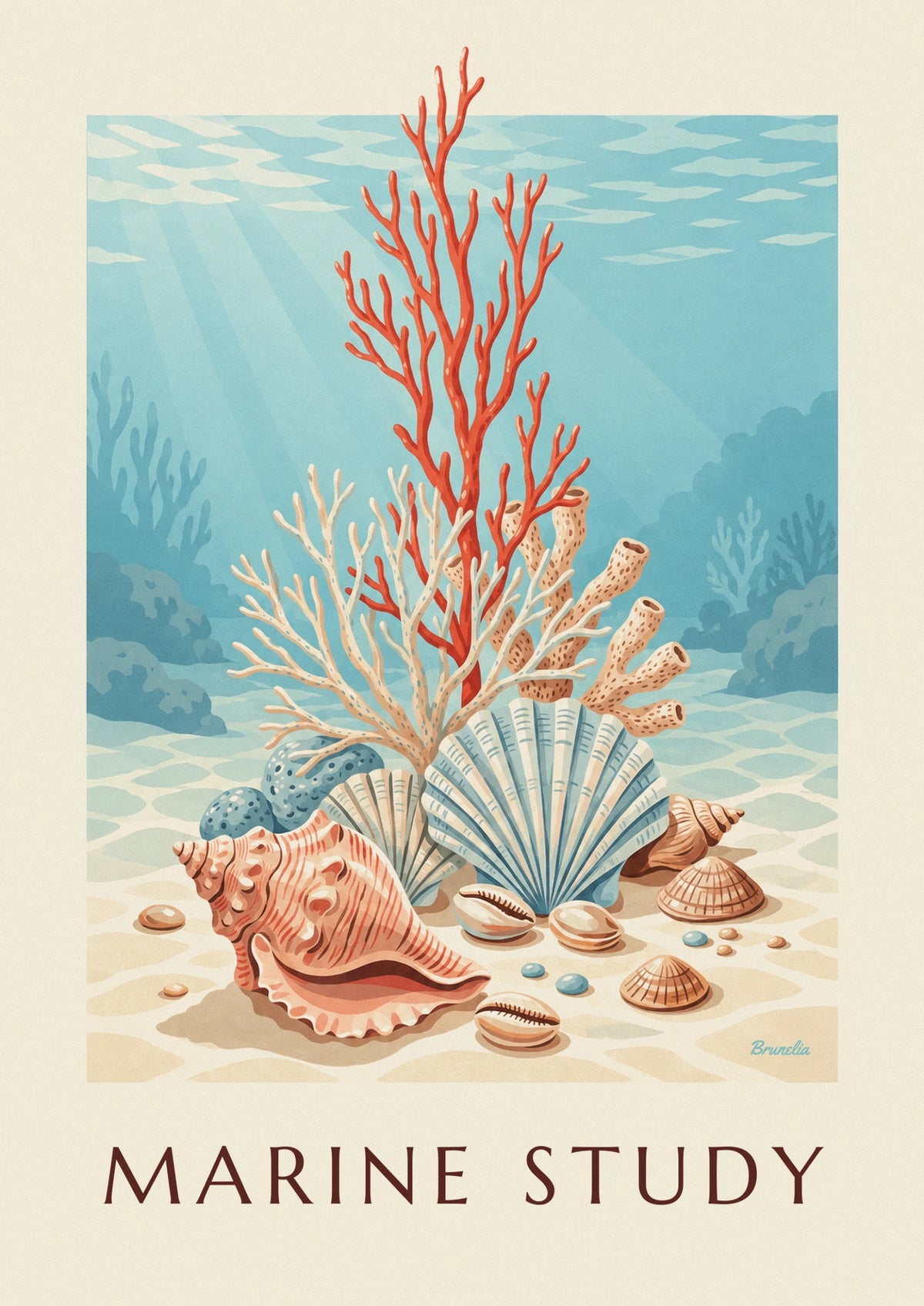 Coral and seashell natural history plate poster