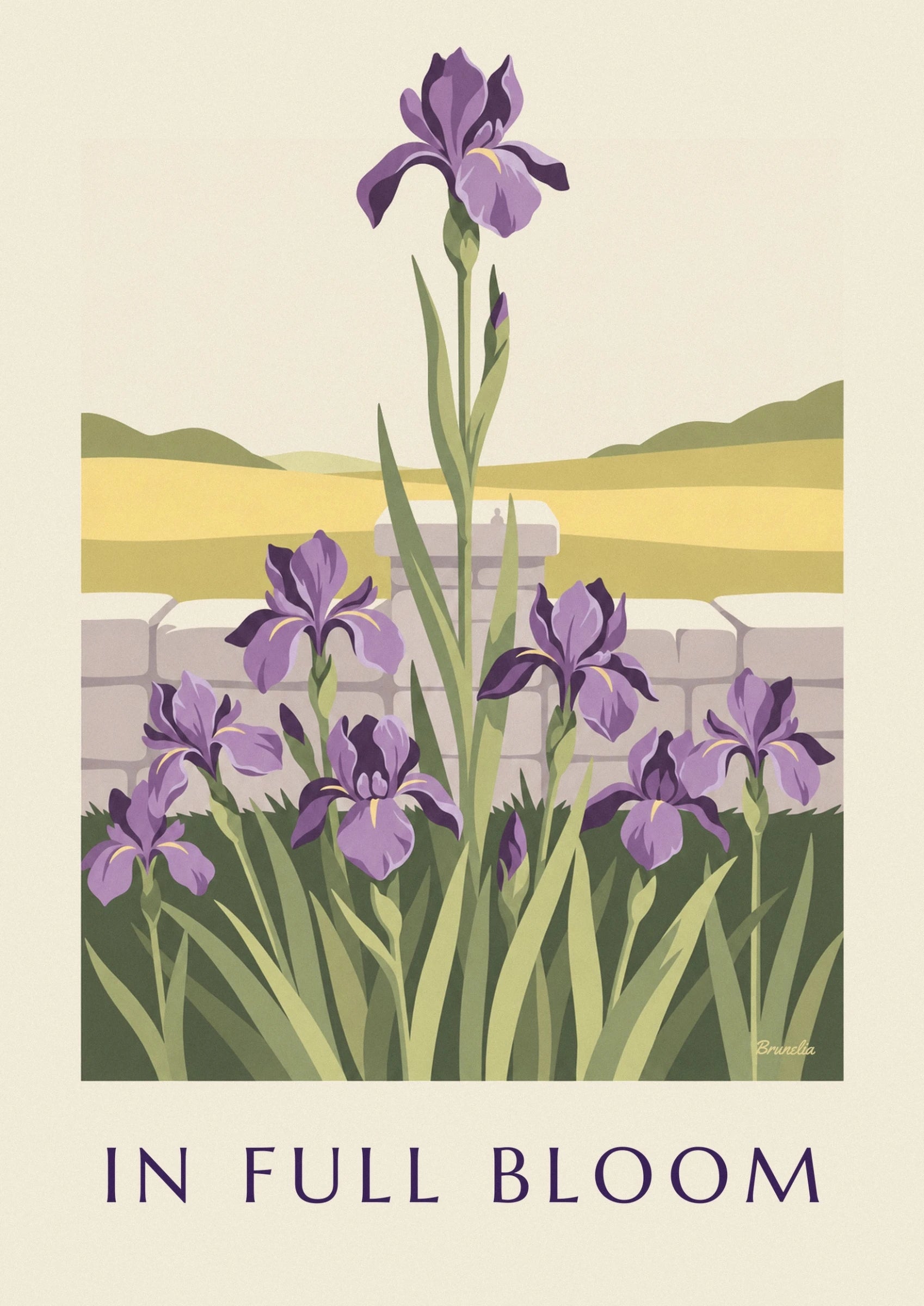 Un iris violet aux pétales déployés et aux touches jaunes, sur sa tige verte