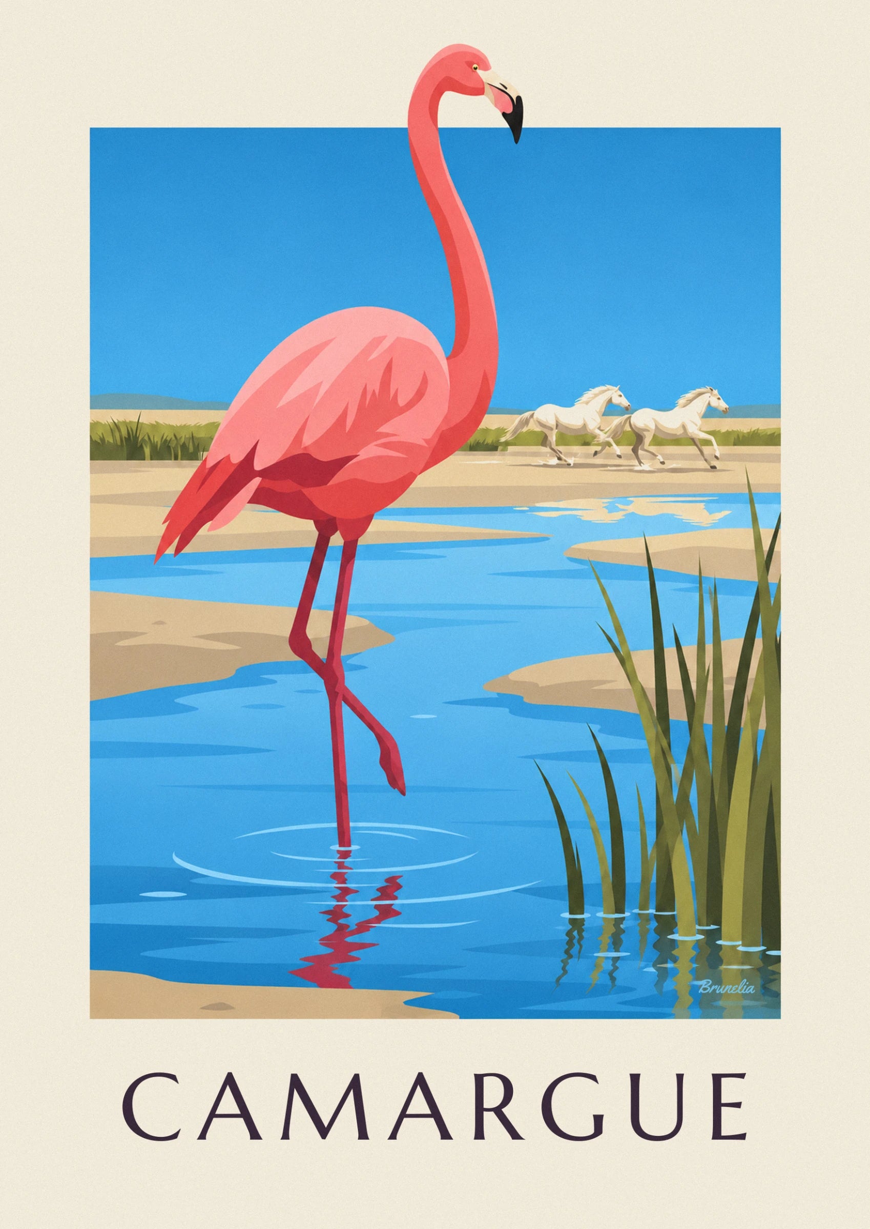 Le flamant rose dans les eaux peu profondes, et 2 chevaux blancs au galop sur la rive